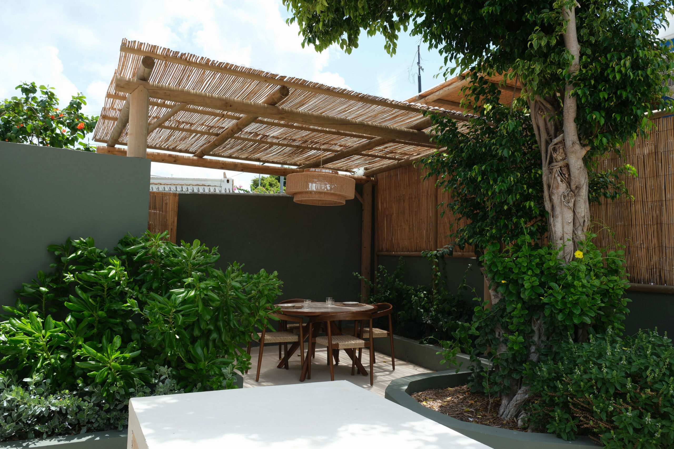 The Shaded Terrace